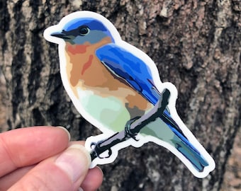 Eastern Bluebird Vinyl Sticker/Decal