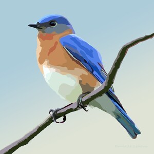 Eastern Bluebird - Bird Art - Graphic Art Print