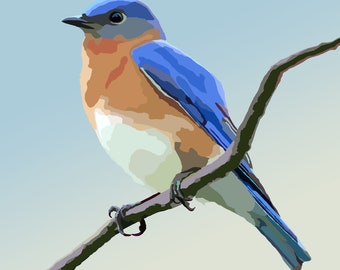 Eastern Bluebird - Bird Art - Graphic Art Print