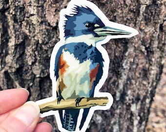 Belted Kingfisher Vinyl Sticker/Decal