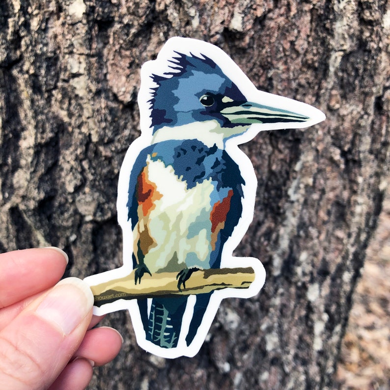 May include: A blue and white sticker of a Belted Kingfisher perched on a branch. The bird has a long, pointed beak and a crest of feathers on its head.