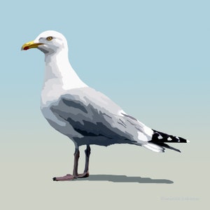 Herring Gull - Bird Art - Graphic Art Print