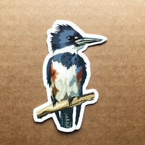 May include: A blue, white, and brown illustrated sticker of a belted kingfisher perched on a branch.