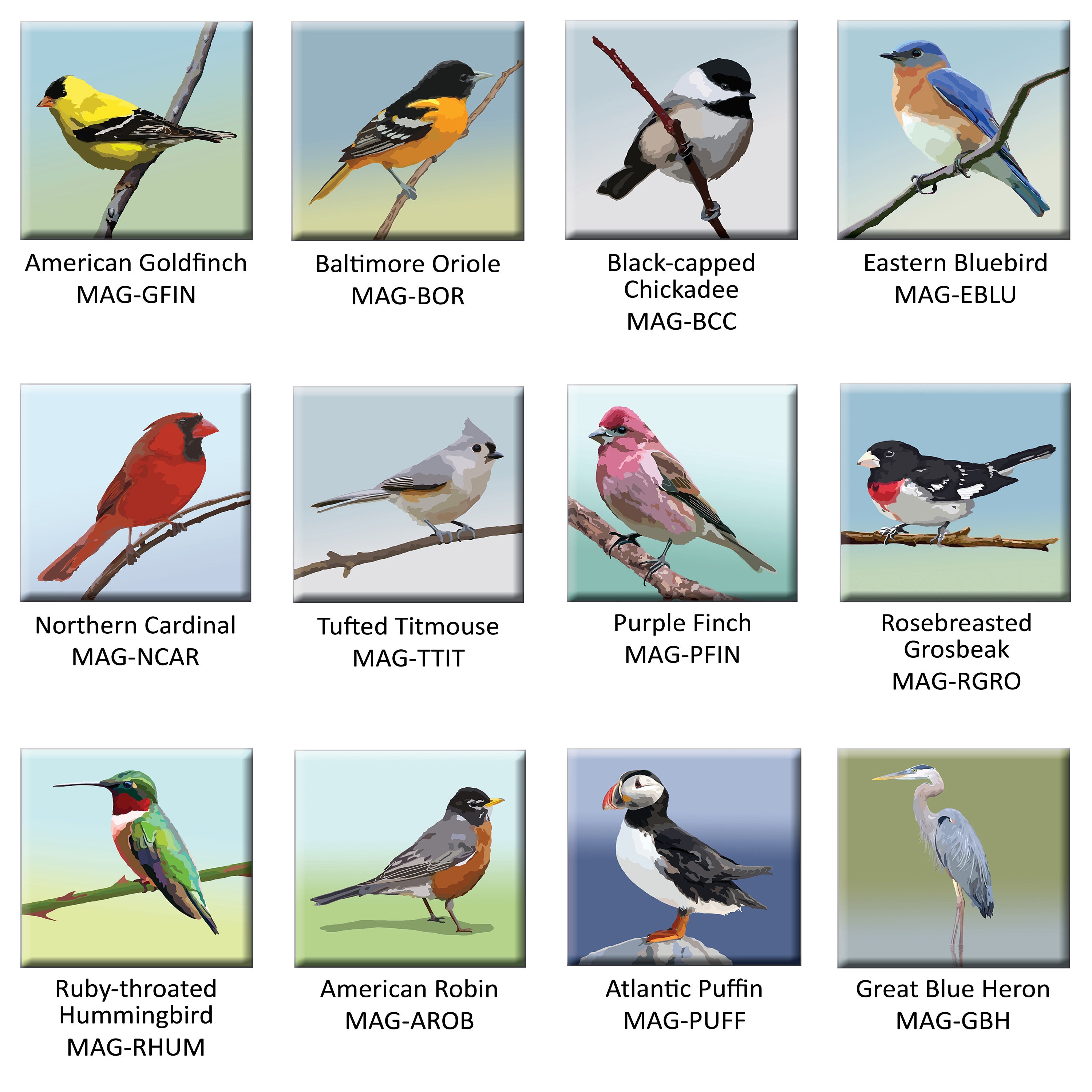 Acrylic Bird Magnets - Etsy