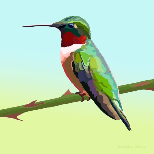 Ruby-throated Hummingbird - Bird Art - Graphic Art Print