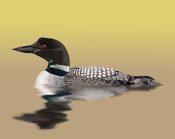 May include: A black and white loon with red eyes swims in a body of water with a yellow background.