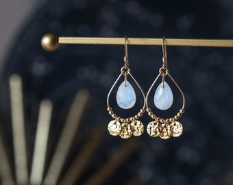 Rainbow Moonstone Medallions earrings - 14k Gold filled dangle earrings - Natural gemstone earrings - Healing stone earrings - Gift for her