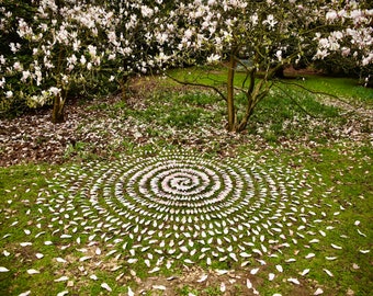 Onder Magnolia, Clumber Park, Nottinghamshire A2 (420 x 594 ml) gesigneerde giclee print