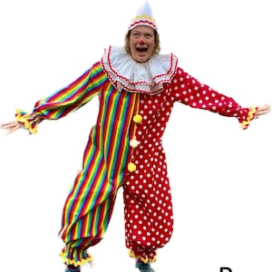 Clown professional costume handmade adult women men girl baby boy scary unique cute Halloween Circus theme birthday first birthday party
