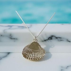 Fine Silver Shell Necklace Pendant. Shell Necklace Jewellery