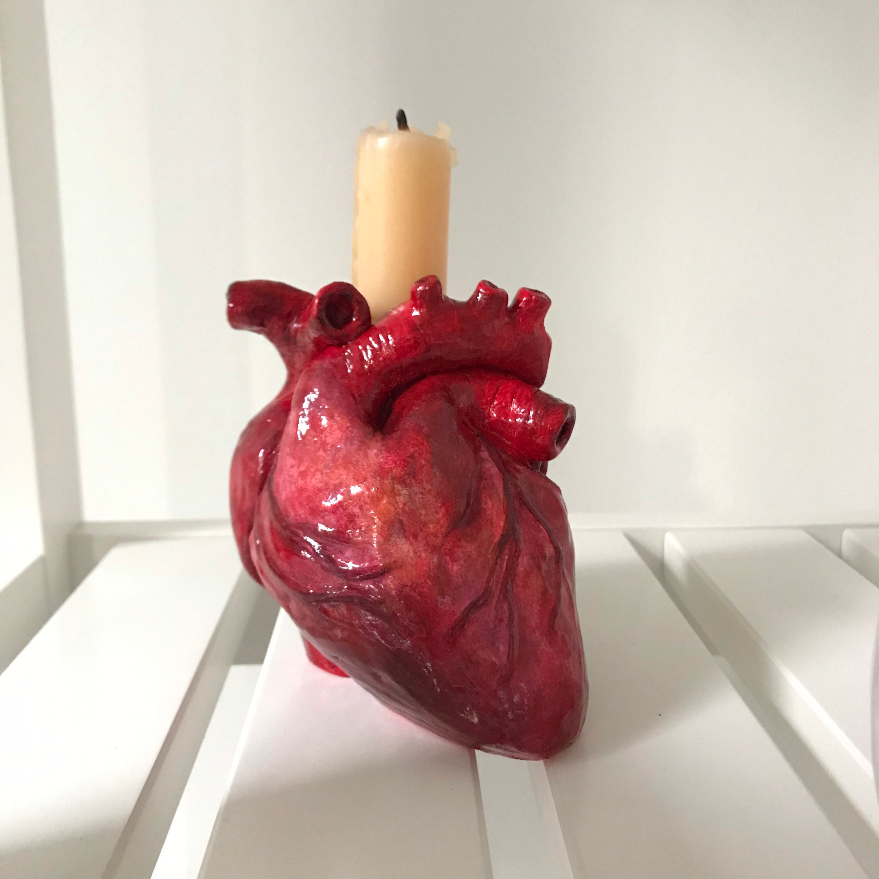 Realistic Human Heart Candle Holder 