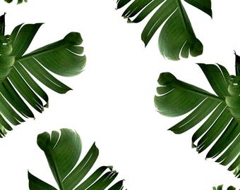 Banana Leaf Print, Abstract Tropical Leaf, Summer Art, Tropical Banana Leaves, Tropical Theme Decor, 8 x 10 inches, Unframed
