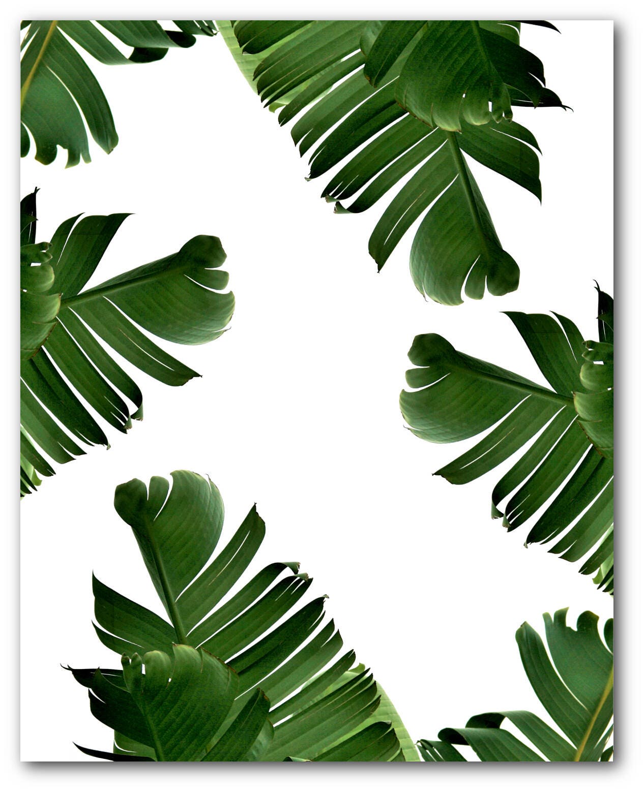 Banana Leaf Print Abstract Tropical Leaf Summer Art | Etsy