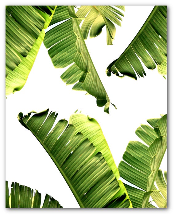 Banana Leaf Print Abstract Tropical Leaf Summer Art Etsy Banana Leaf Print Abstract Tropical Leaf Summer Art Etsy