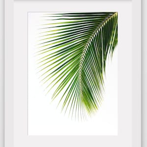 Palm Leaf Print Abstract Tropical Leaf Summer Art Tropical - Etsy