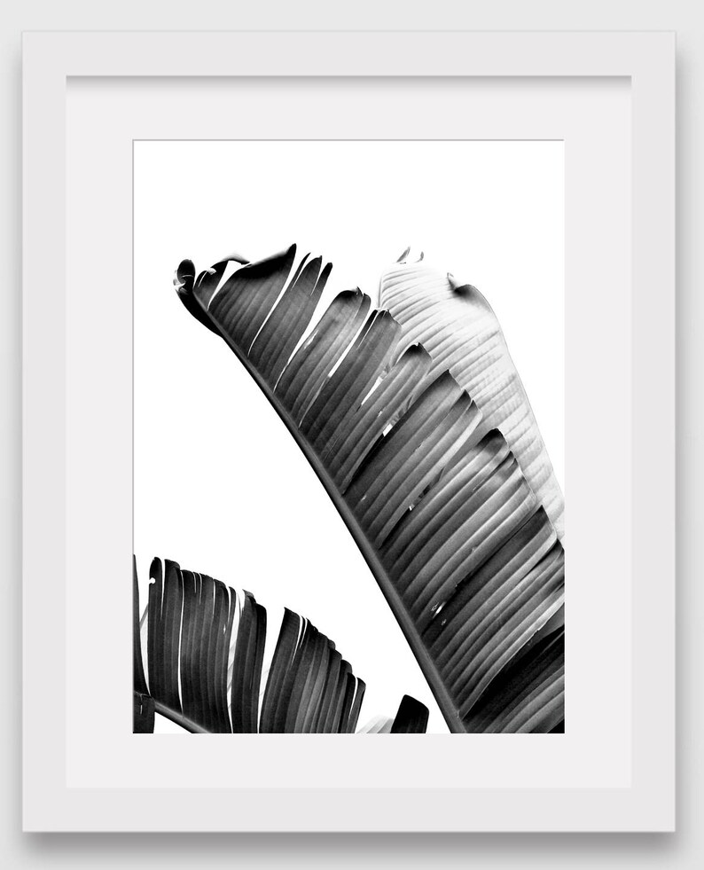 Black and White Banana Leaf Print Tropical Leaf Tropical Theme Decor Tropical Banana Leaves Summer Art 8 x 10 inches Unframed