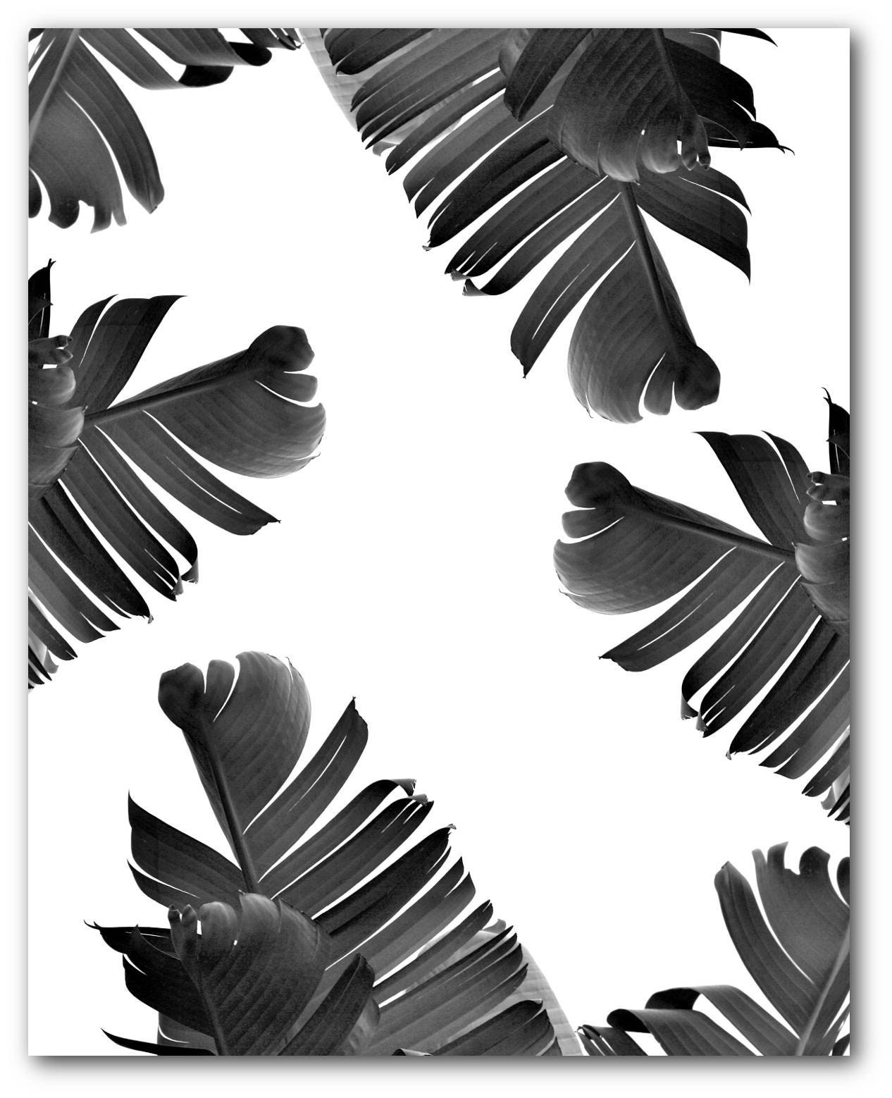 Banana Leaf Print Black and White Photography Tropical Leaf | Etsy