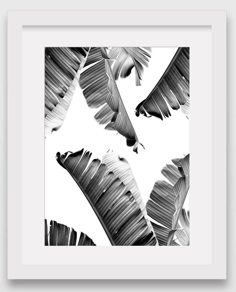 Banana Leaf Print Black and White Tropical Leaf Summer Art | Etsy