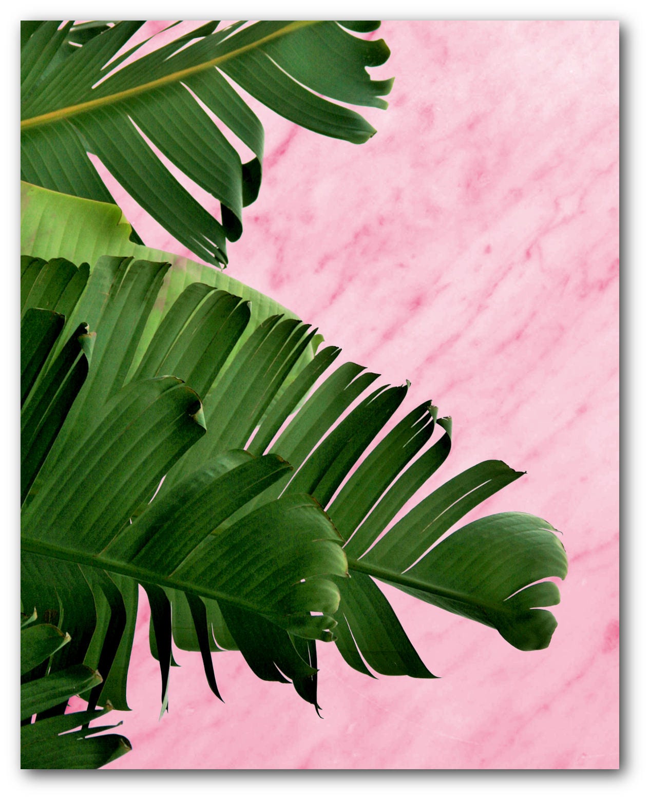 Banana Leaf Print Pink Marble Abstract Tropical Leaf Summer | Etsy