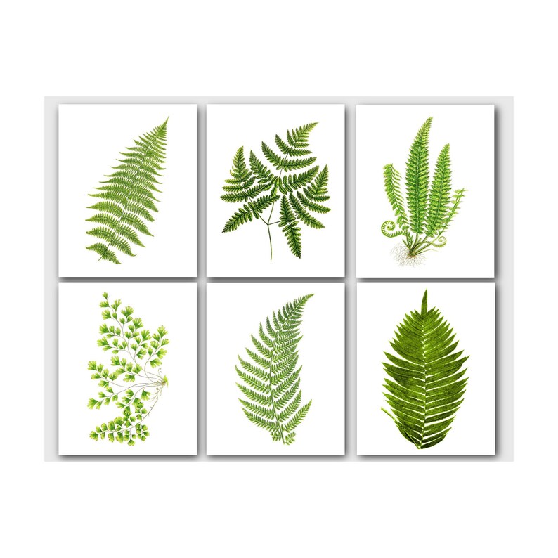 Green Fern Nature Girl Print Poster