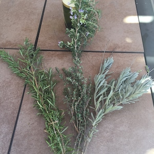Fresh Cut Home Grown Herbs: Rosemary, Lavender, Garlic Chives, Oregano, Rue, Marjoram.