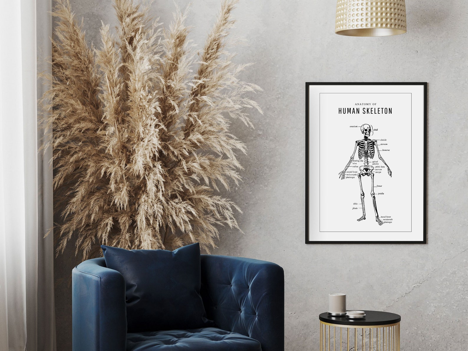 Human Skeleton Anatomy Poster | Digital Print | Minimalist Wall Art ...
