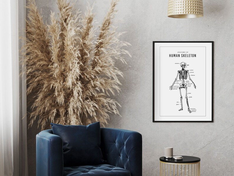 Human Skeleton Anatomy Poster | Digital Print | Minimalist Wall Art ...