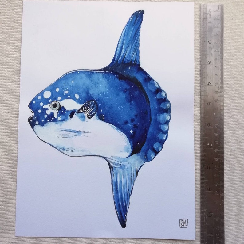 Ocean Sunfish Watercolour Painting Mola Mola Art Nautical Etsy