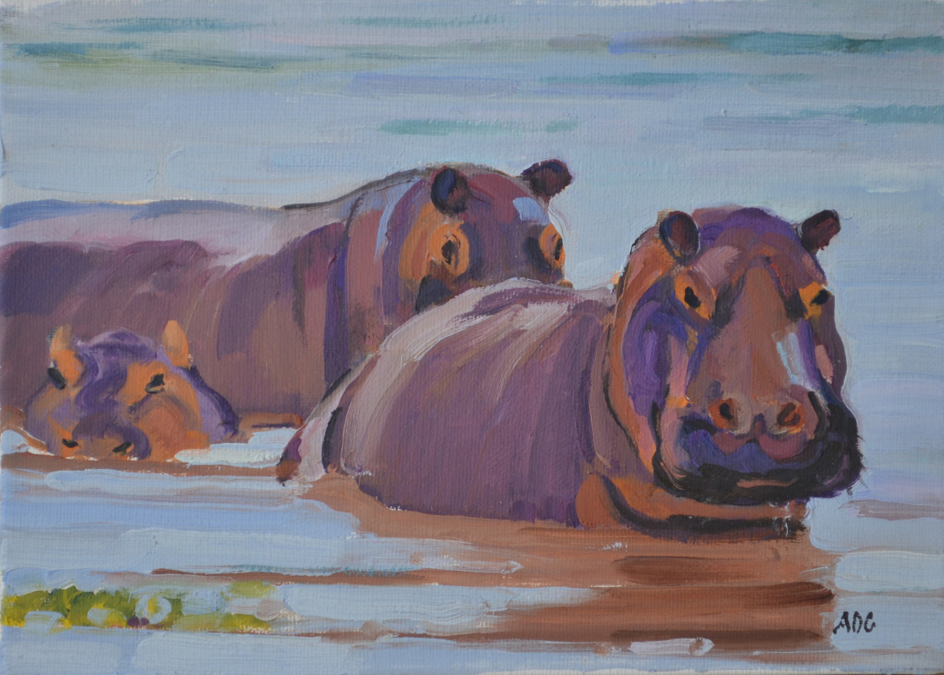 Hippopotamus Oil Painting, Wildlife Art, Animal Art Etsy