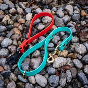 May include: Two dog leashes, one red and one turquoise, are lying on a bed of small gray and brown rocks. The red leash has a black metal clip and the turquoise leash has a gold metal clip.