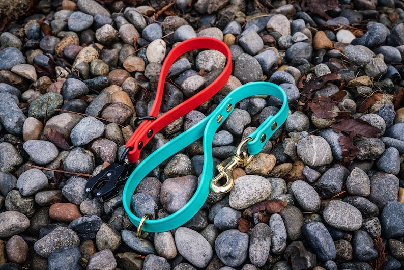 May include: Two dog leashes, one red and one turquoise, are lying on a bed of small gray and brown rocks. The red leash has a black metal clip and the turquoise leash has a gold metal clip.