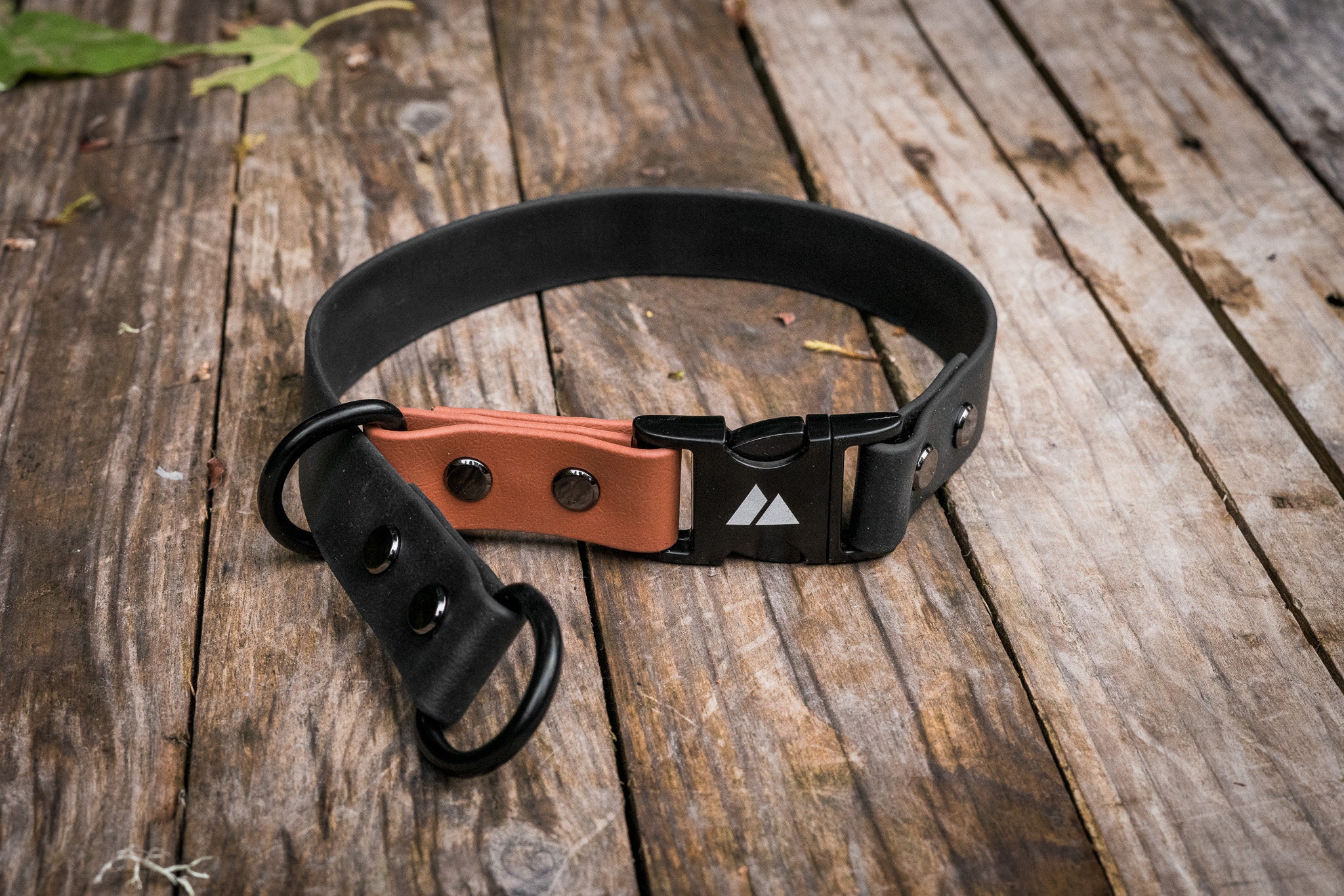 Atlas Customizable Biothane Slip Dog Collar, Quick Release, 1 Inch - Etsy