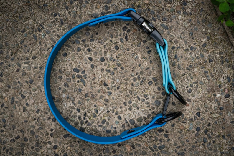 K&ouml;nnte beinhalten: Ein blaues Hundekragen aus Gummi mit einer schwarzen Schnalle und einem schwarzen Metall-D-Ring.
