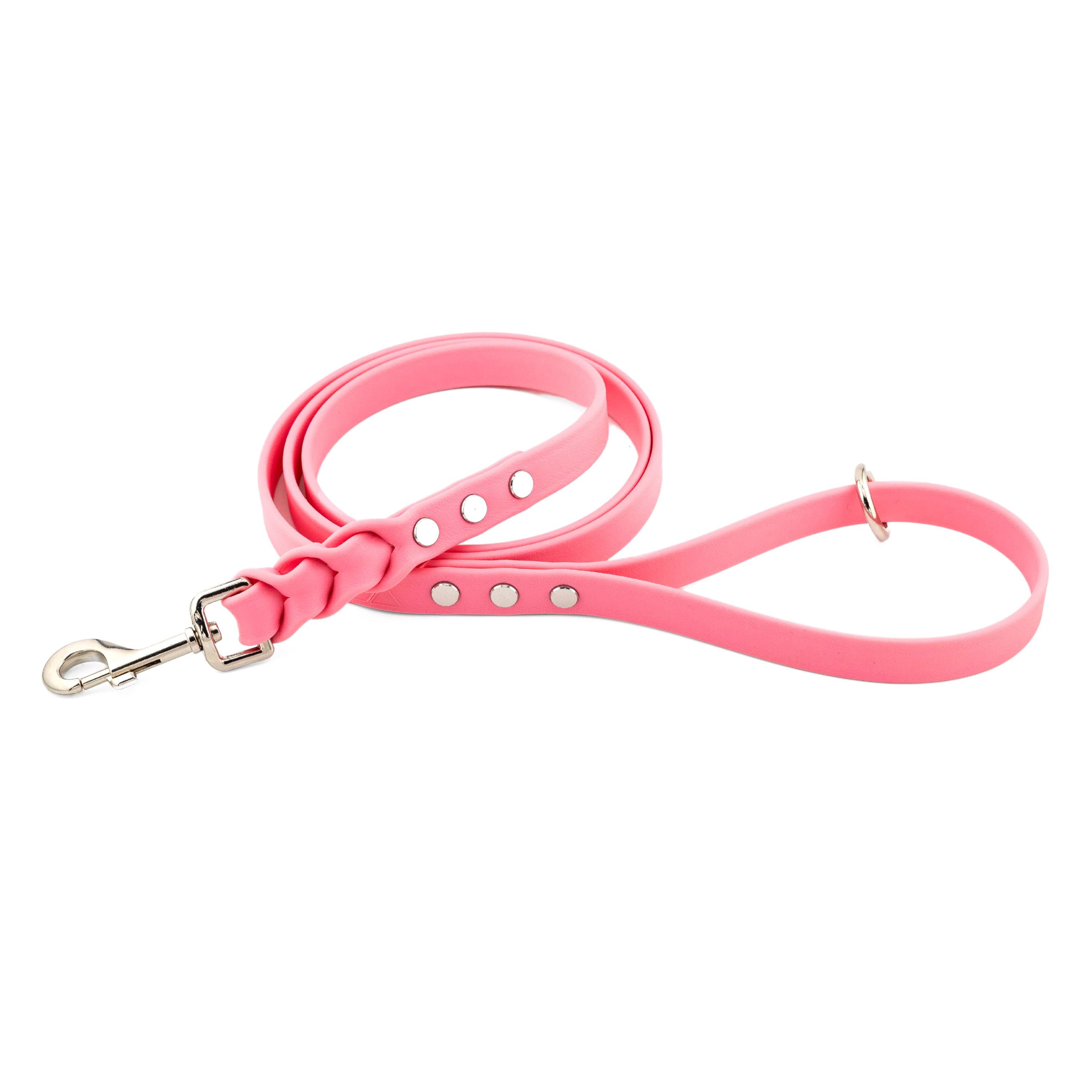 Trailblazer Customizable Braided Biothane® Dog Leash, Lead, Cleanable, Comfortable, Strong