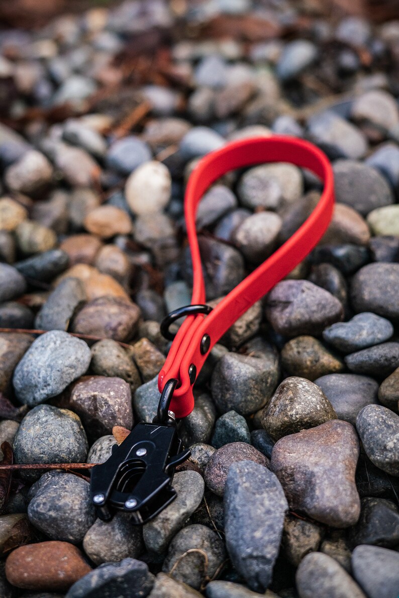 May include: A red and black dog leash with a metal clip. The leash is made of a soft, flexible material and is lying on a bed of small, gray rocks.