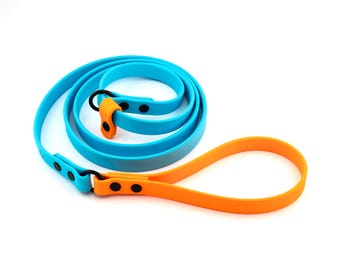 Voyager Two Tone BioThane® Slip Lead, Dog Leash, Cleanable, Comfortable