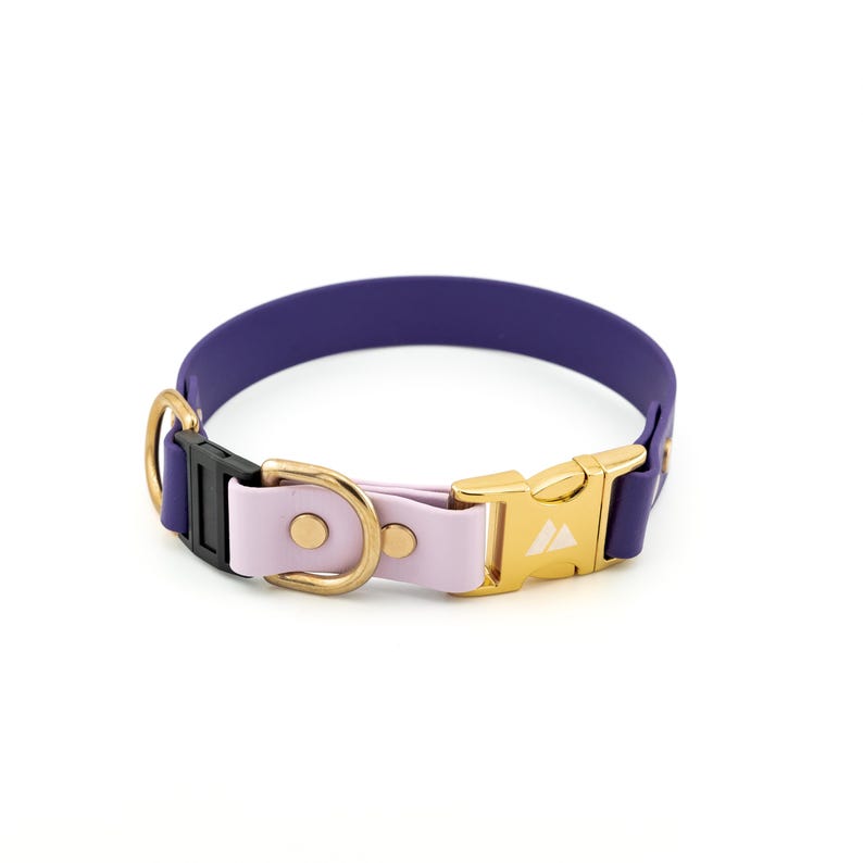 K&ouml;nnte beinhalten: Ein lila und lavendelfarbenes Hundehalsband mit einer goldenen Schnalle und einem schwarzen D-Ring. Die Schnalle hat ein kleines wei&szlig;es Dreieckslogo.