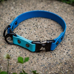K&ouml;nnte beinhalten: Ein blaues und t&uuml;rkisfarbenes Hundehalsband aus Gummi mit einer schwarzen Schnalle und zwei schwarzen D-Ringen. Das Halsband hat ein silbernes Dreieckslogo auf der Schnalle.