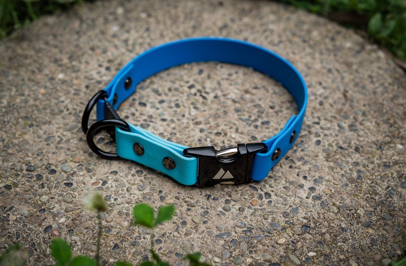 K&ouml;nnte beinhalten: Ein blaues und t&uuml;rkisfarbenes Hundehalsband aus Gummi mit einer schwarzen Schnalle und zwei schwarzen D-Ringen. Das Halsband hat ein silbernes Dreieckslogo auf der Schnalle.