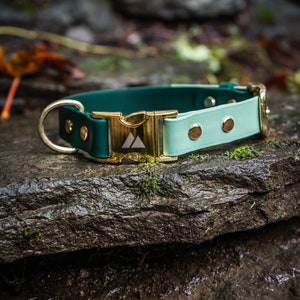 K&ouml;nnte beinhalten: Ein gr&uuml;nes und hellblaues Hundehalsband mit einer goldenen Schnalle und zwei goldenen Nieten. Die Schnalle hat ein kleines wei&szlig;es Dreieckslogo.