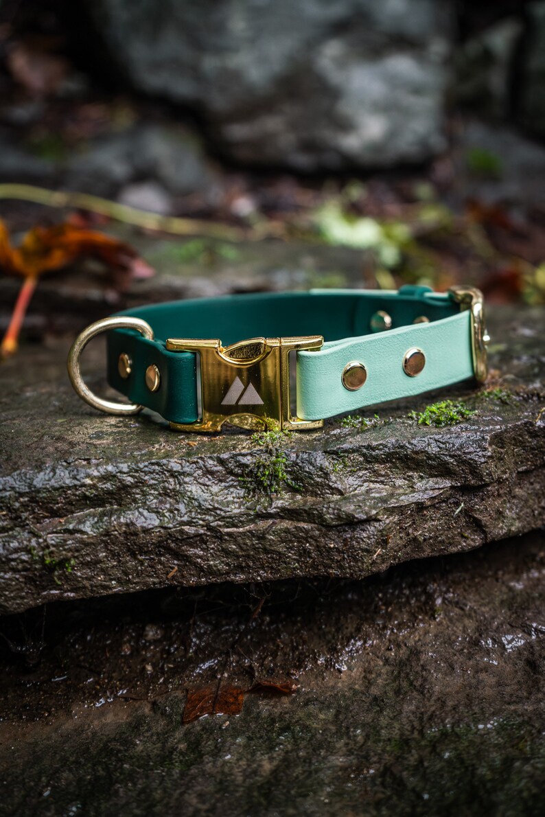 K&ouml;nnte beinhalten: Ein gr&uuml;nes und hellblaues Hundehalsband mit einer goldenen Schnalle und zwei goldenen Nieten. Die Schnalle hat ein kleines wei&szlig;es Dreieckslogo.