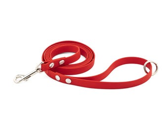Tiny But Mighty Lightweight BioThane® Lead, Dog Leash, Cleanable, Comfortable