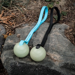 Tiny But Mighty BioThane® Fetch Toy, Tug Toy, Toy Reward, Ball Tug