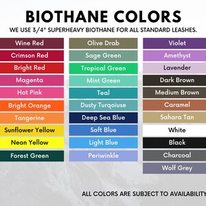 Voyager BioThane® Traffic Lead, Training Tab, Short Leash image 2