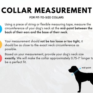 K&ouml;nnte beinhalten: Diagramm, das zeigt, wie man den Hals eines Hundes f&uuml;r ein Halsband misst. Die Illustration zeigt einen Hund mit einem Ma&szlig;band um den Hals, an der Mitte zwischen den Ohren und der Basis des Halses. Der Text erkl&auml;rt, dass die Messung so nah wie m&ouml;glich an der genauen Halsweite erfolgen sollte. Das Halsband wird 0,75 bis 1 Zoll l&auml;nger als die Messung hergestellt.