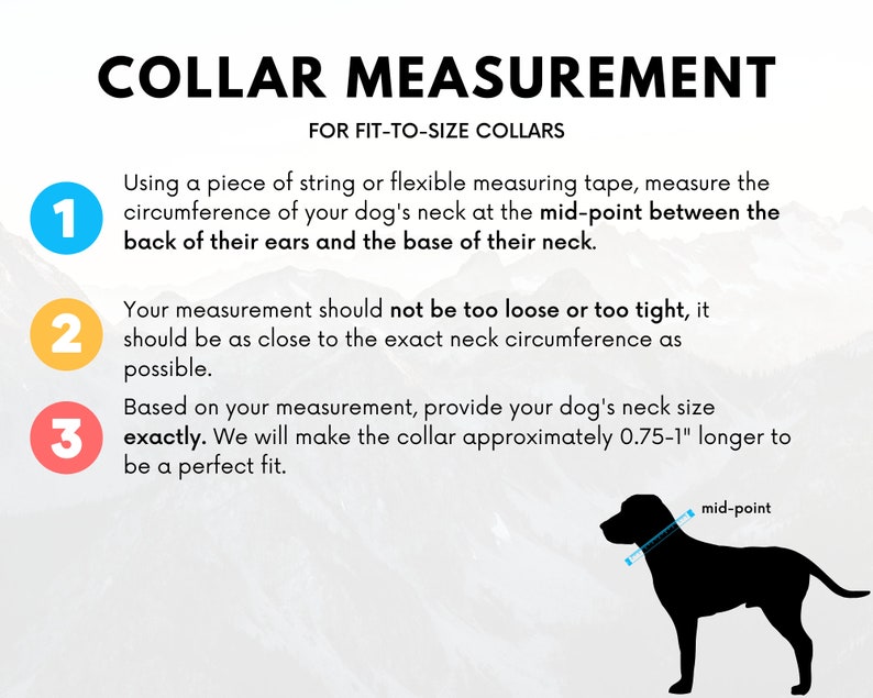 K&ouml;nnte beinhalten: Diagramm, das zeigt, wie man den Hals eines Hundes f&uuml;r ein Halsband misst. Die Illustration zeigt einen Hund mit einem Ma&szlig;band um den Hals, an der Mitte zwischen den Ohren und der Basis des Halses. Der Text erkl&auml;rt, dass die Messung so nah wie m&ouml;glich an der genauen Halsweite erfolgen sollte. Das Halsband wird 0,75 bis 1 Zoll l&auml;nger als die Messung hergestellt.