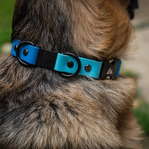 K&ouml;nnte beinhalten: Ein blaues und schwarzes Hundehalsband mit einer Metallschnalle und zwei Metall-D-Ringen. Das Halsband ist aus einem strapazierf&auml;higen, wasserabweisenden Material gefertigt.