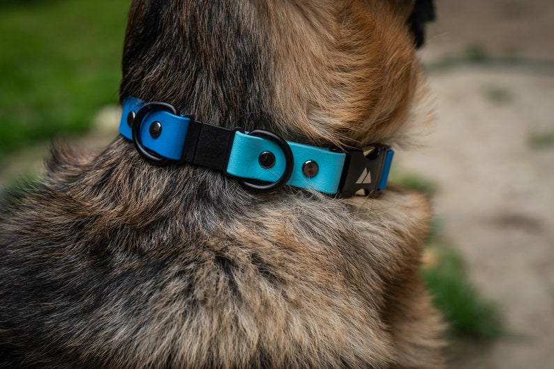 K&ouml;nnte beinhalten: Ein blaues und schwarzes Hundehalsband mit einer Metallschnalle und zwei Metall-D-Ringen. Das Halsband ist aus einem strapazierf&auml;higen, wasserabweisenden Material gefertigt.