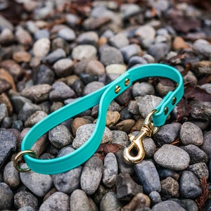 May include: A turquoise blue dog leash with a gold metal clasp and two gold metal accents. The leash is lying on a bed of small gray rocks.