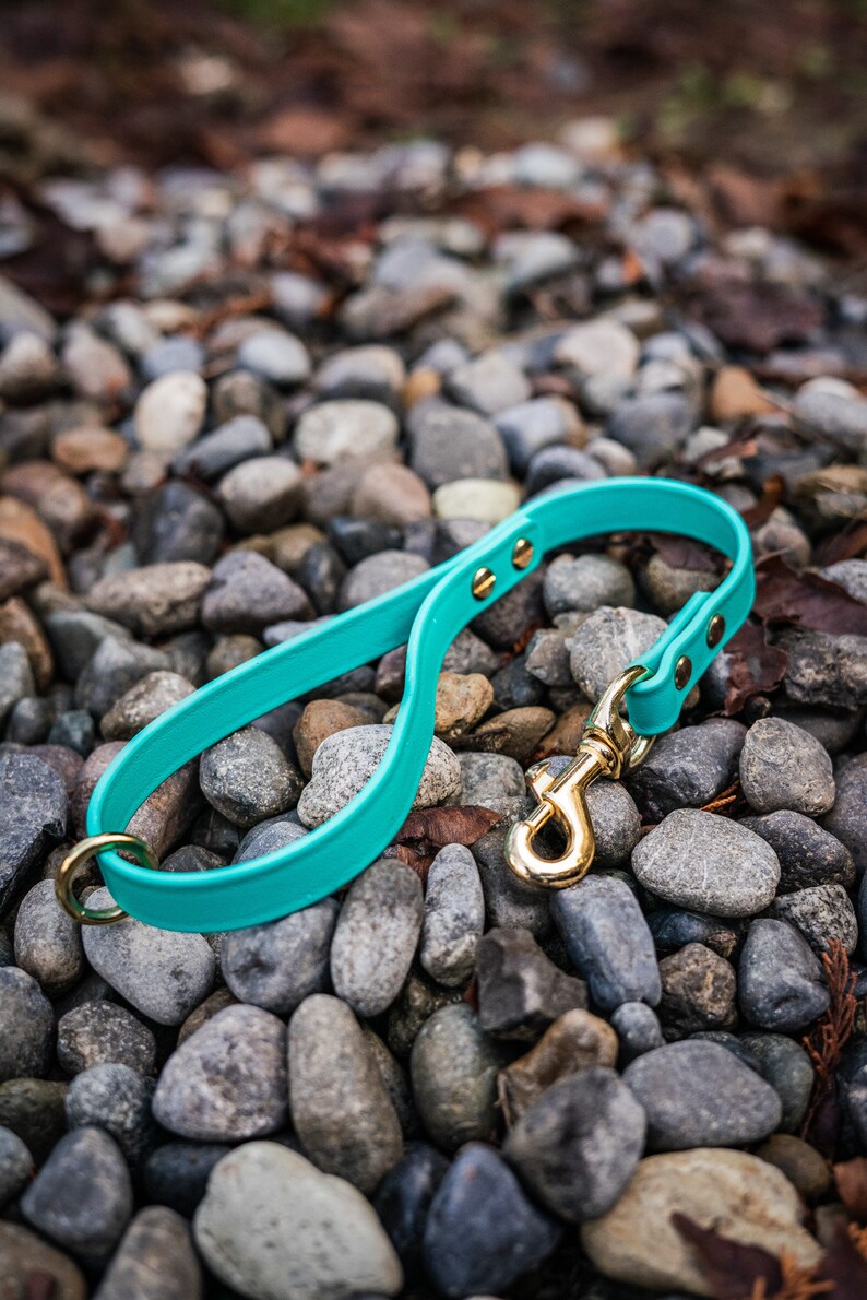 May include: A turquoise blue dog leash with a gold metal clasp and two gold metal accents. The leash is lying on a bed of small gray rocks.